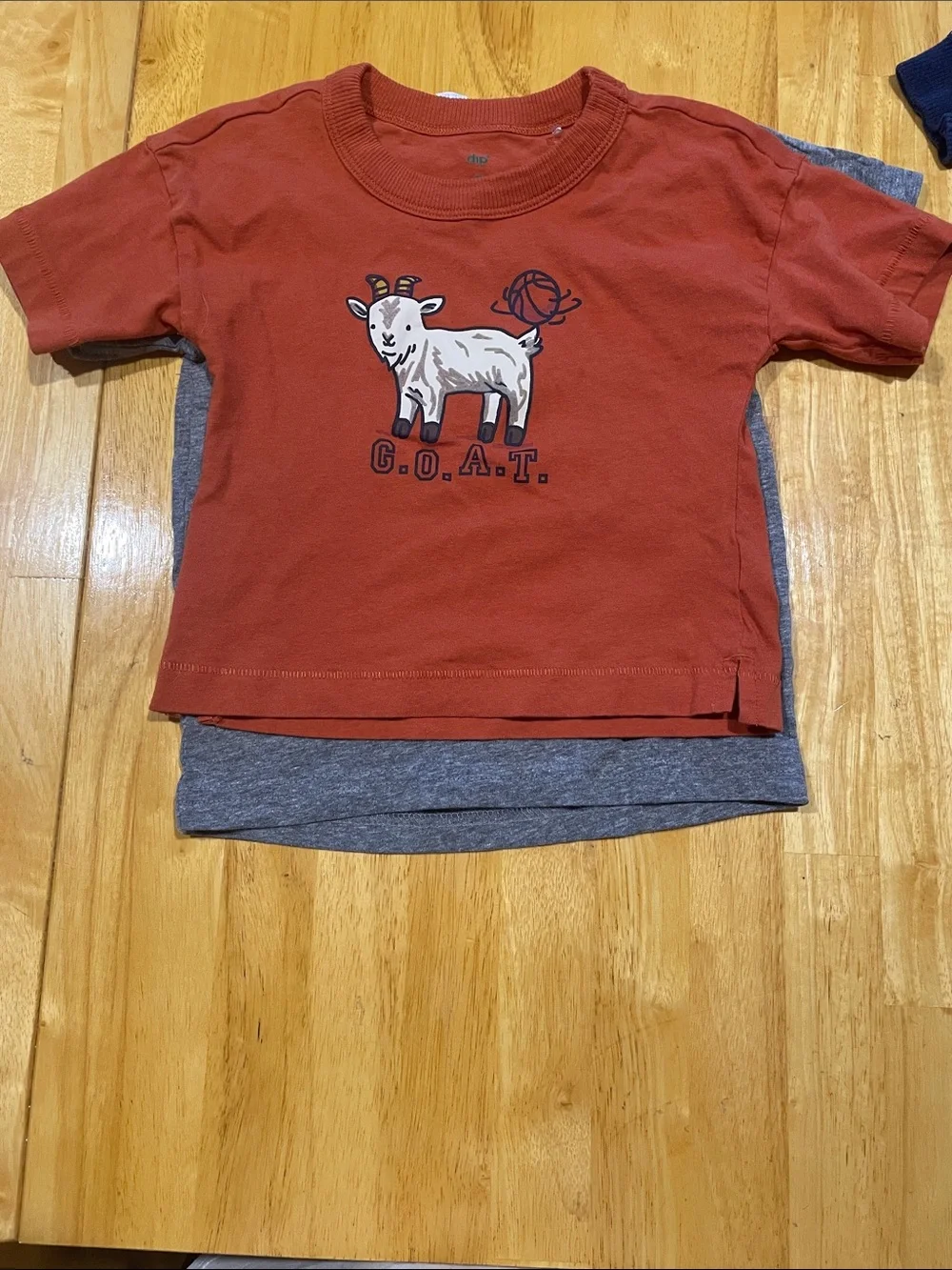 Graphic Tee Bundle 2T